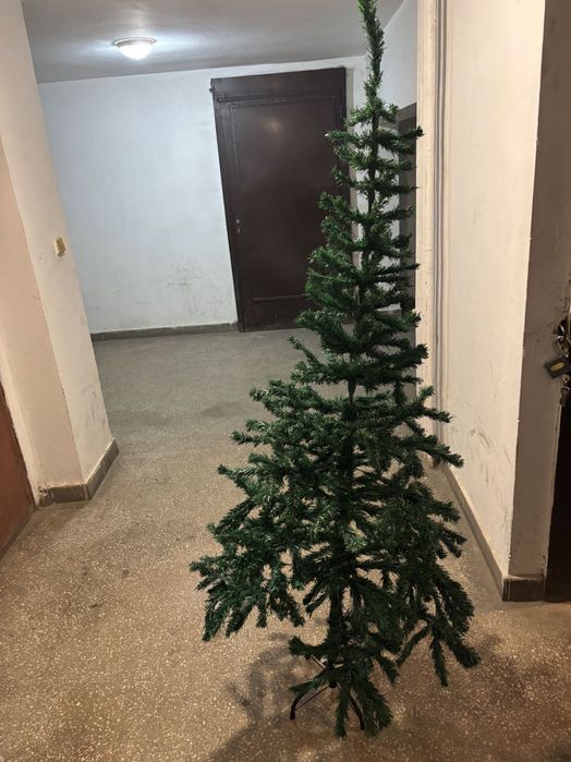 Коледна елха 190 см