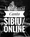 Meditații canto/teorie/solfegiu 1 la 1 sau GRUPURI