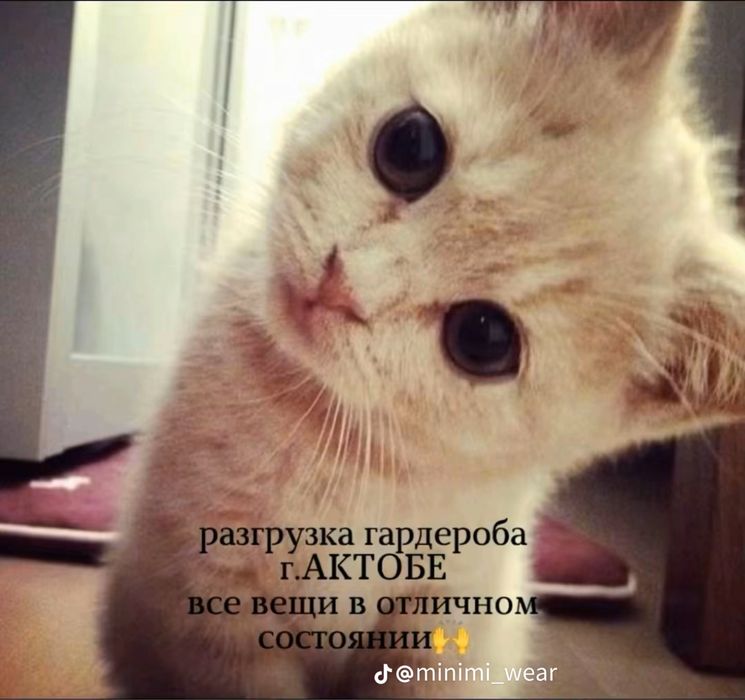 разгрузка гардеробааа