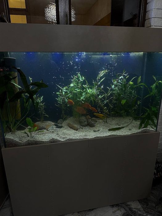 Продается Аквариум.