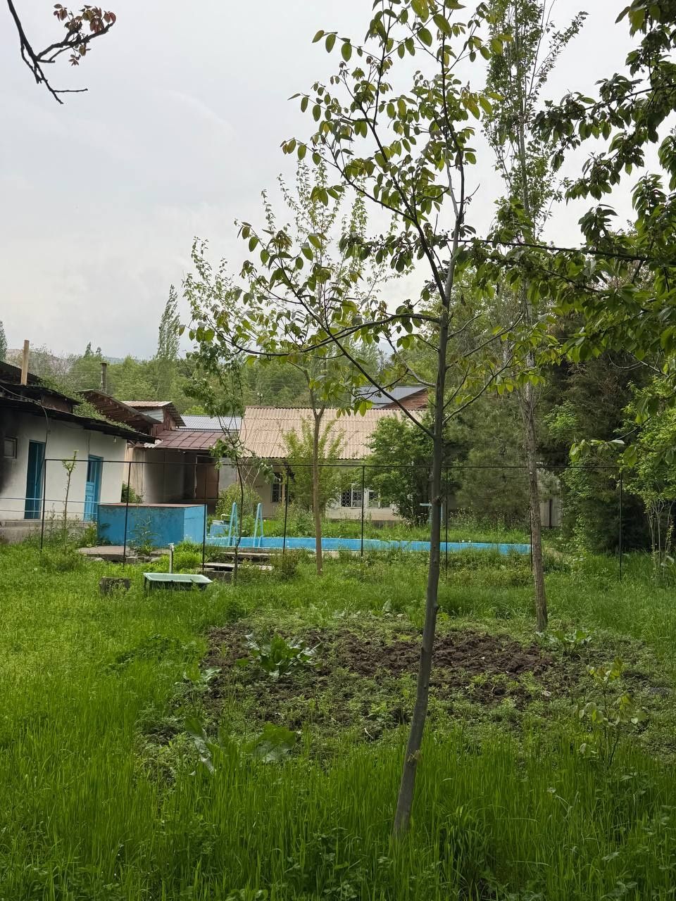 Чарвак Махалля Сиджак 20-Соток Бостонлик