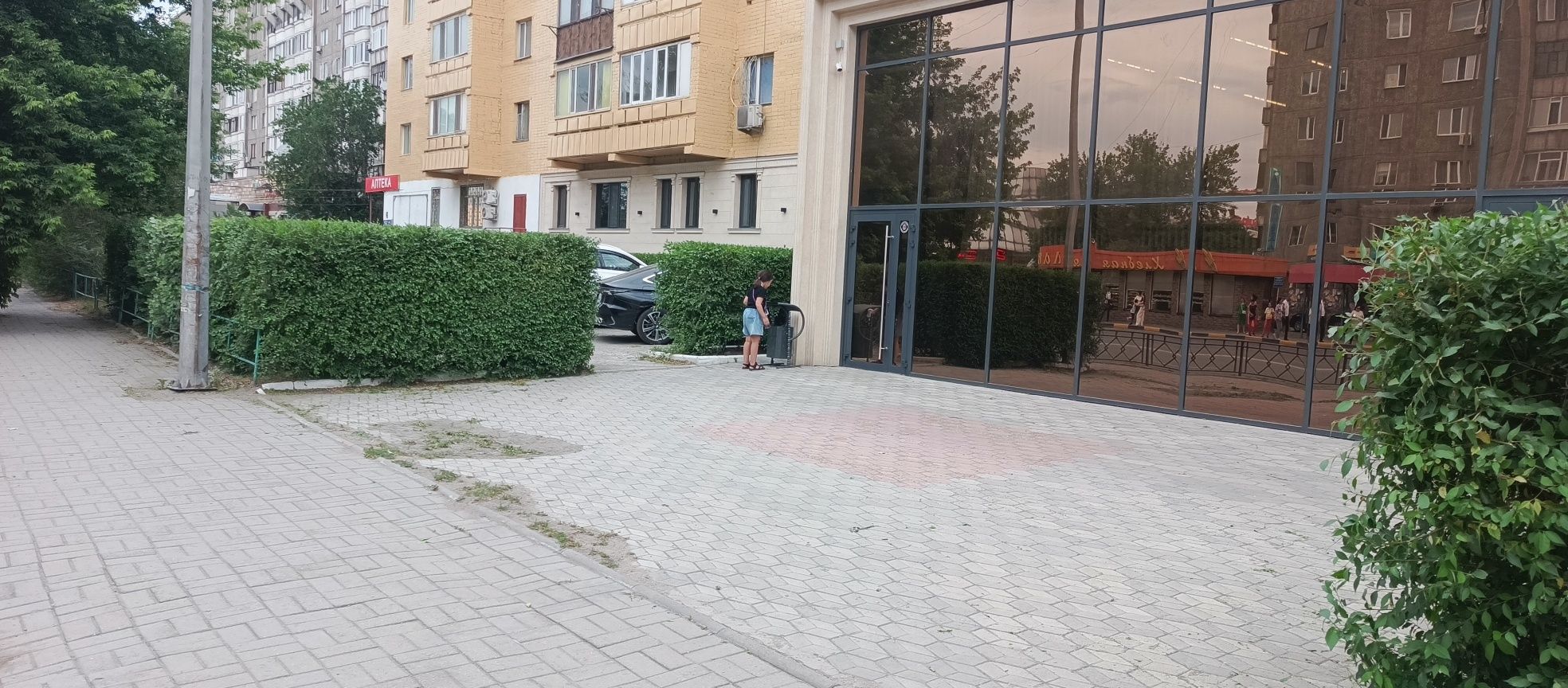 Удаление,покос сорняков бензотриммером,стрижка кустарников,деревьев,