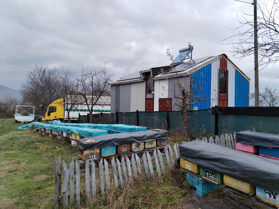 Vând 200 kg miere salcâm 2023