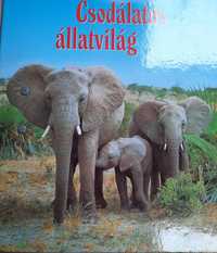 Colectie tip atlas cu animale
