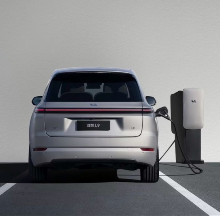 Li 9 zaradnik Зарядка для Li L9 — быстрая зарядка, как новое!