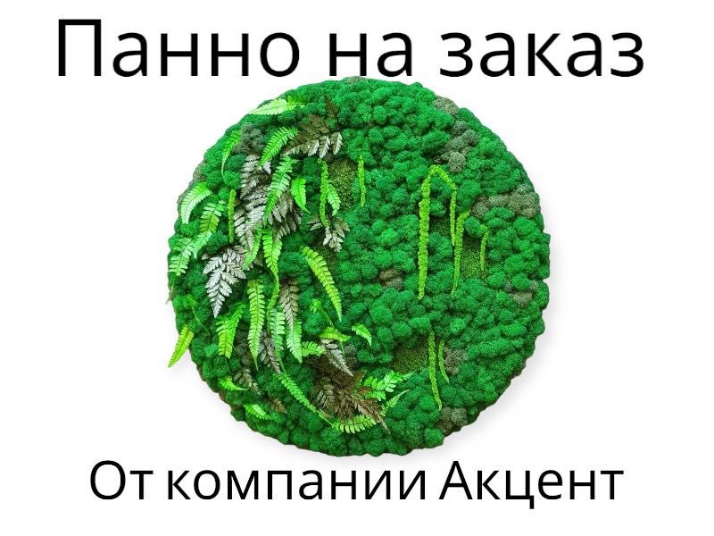 Панно из Мха на заказ