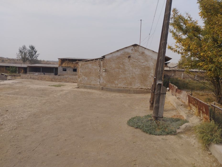 3xonali kafolati bilan