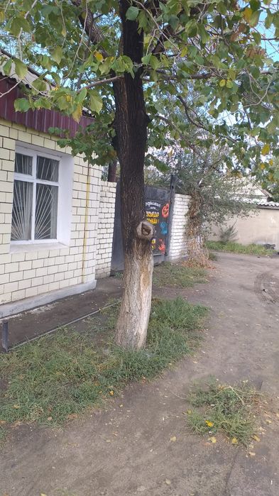 Продам продуктовый магазин!