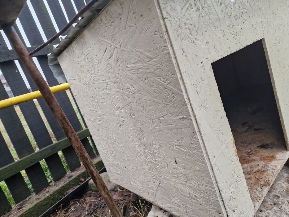 Cotet / Casa Mare pentru caine / Caini