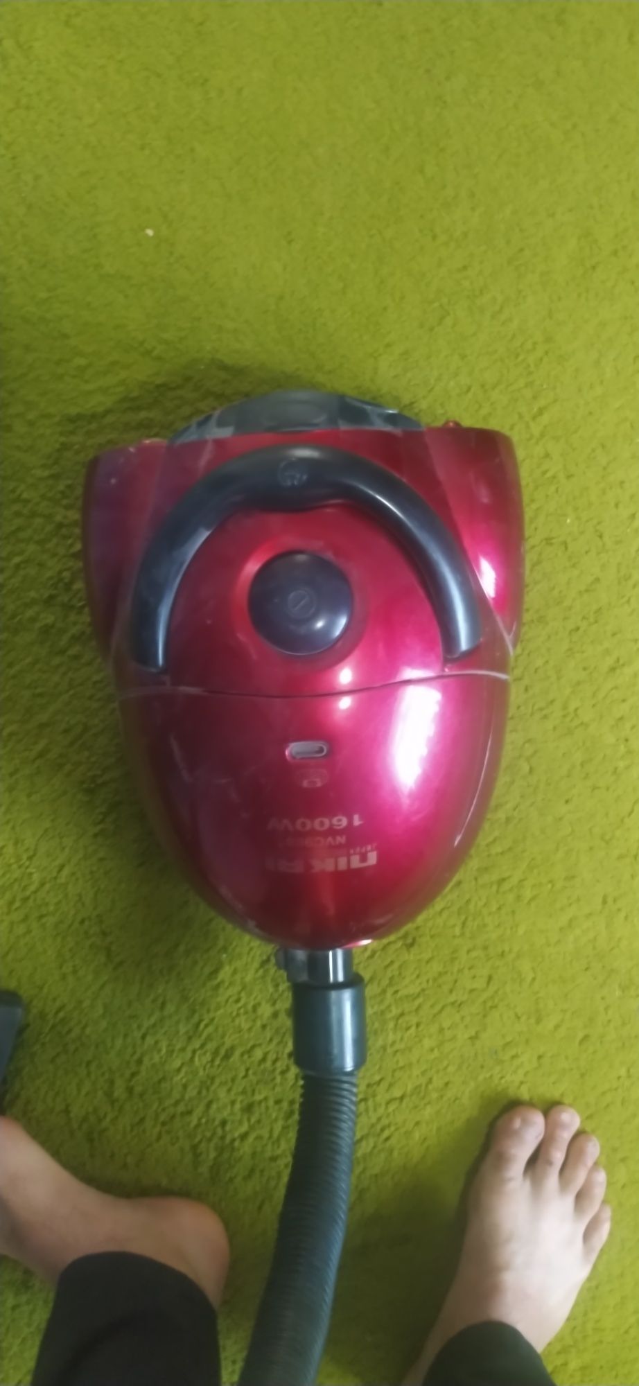Pelisos sotiladi