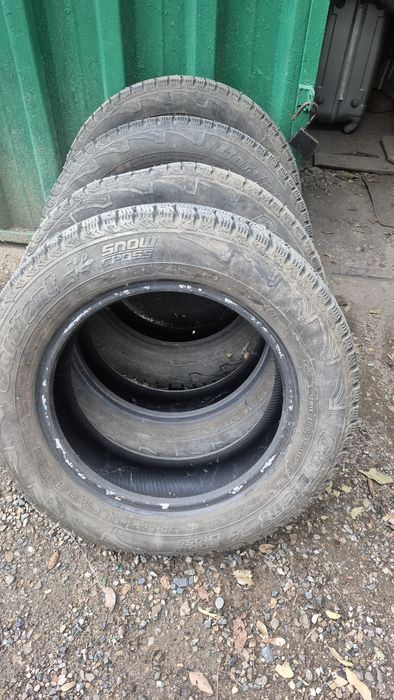 Продам  зимние шипы