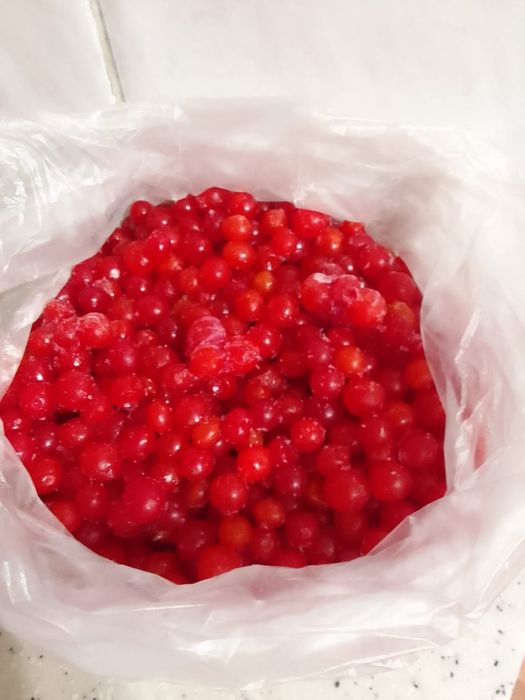 Калина чистая ягода