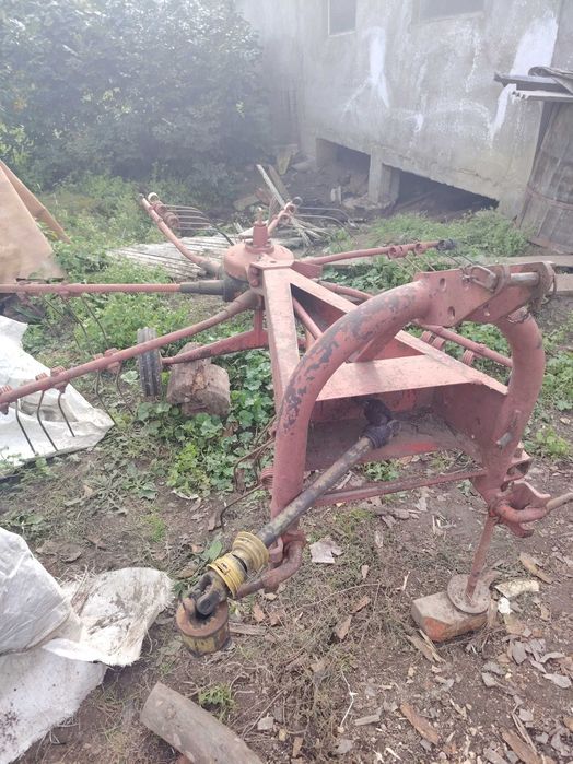 Vand grebla kuhn pe baie de ulei