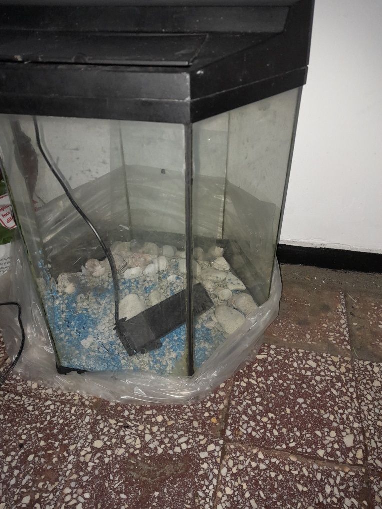 Acvariu hexagonal cu pompă de oxigen