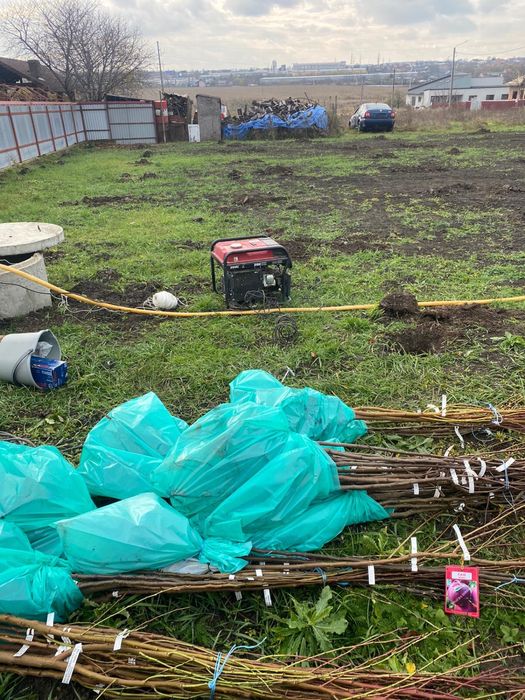 Plantăm livezi, curatare, stropiri!