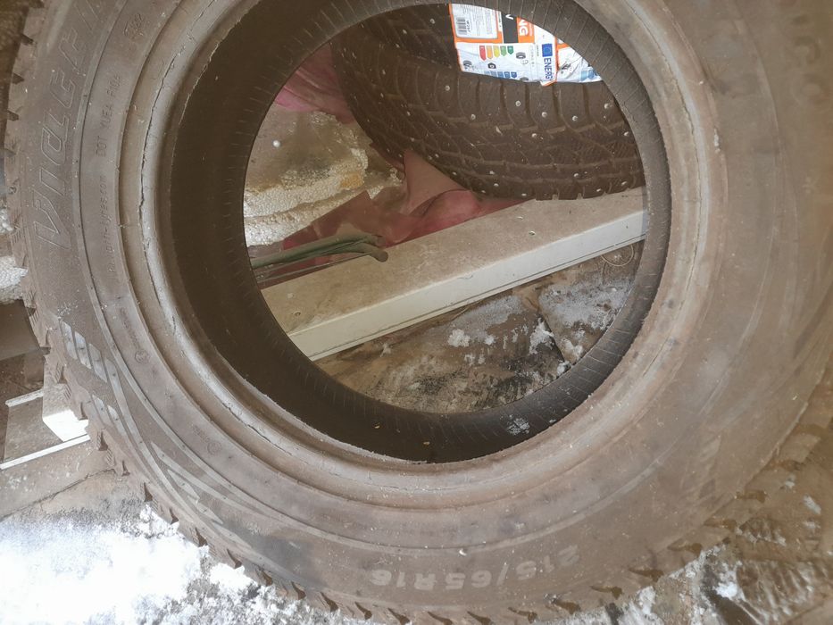 Шина р 16 шиповник