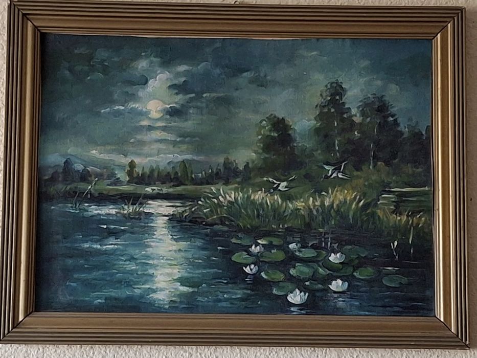 Tablou Noapte in Delta Dunarii