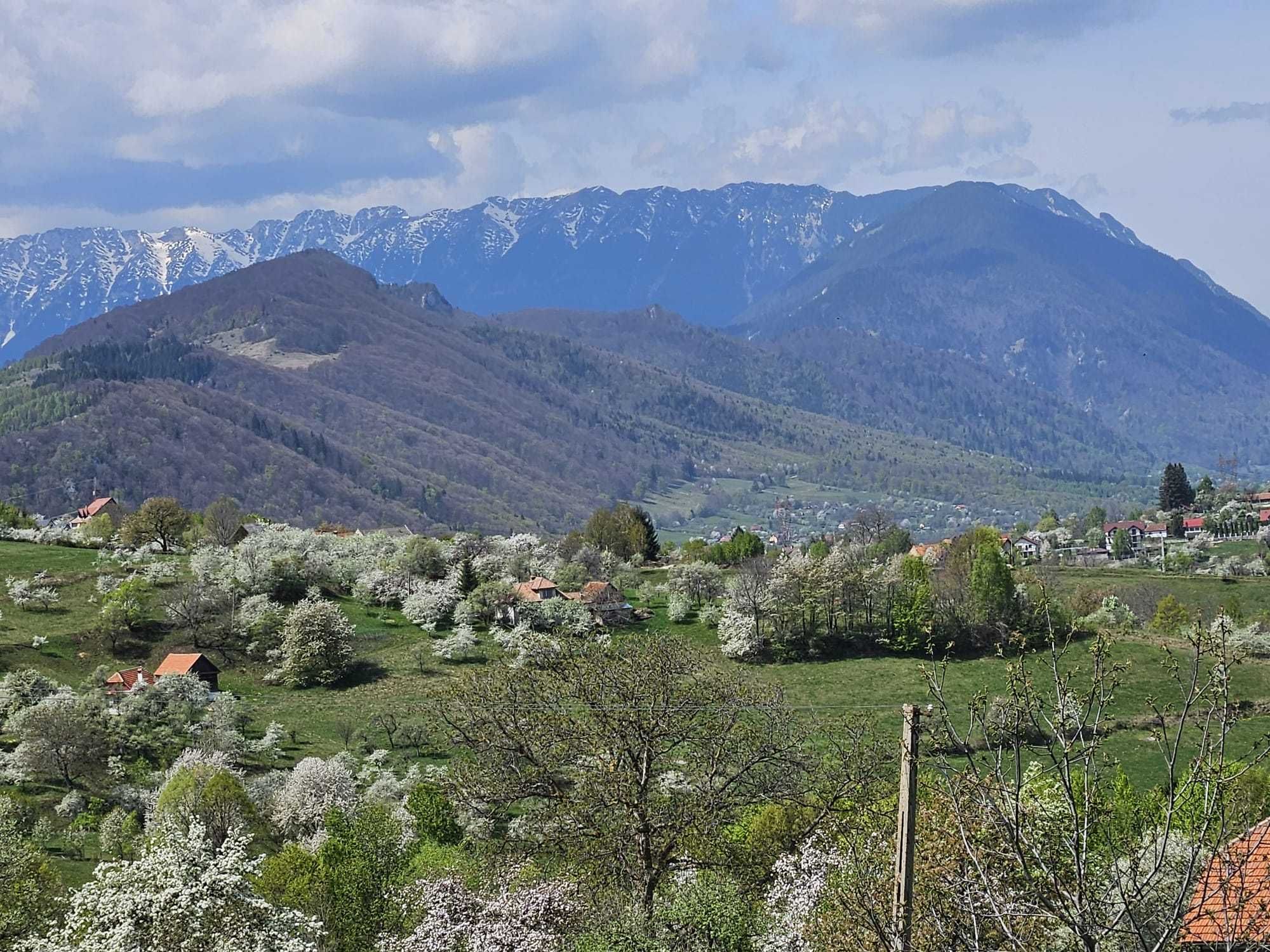 Cazare Casa Drumul dintre Munti