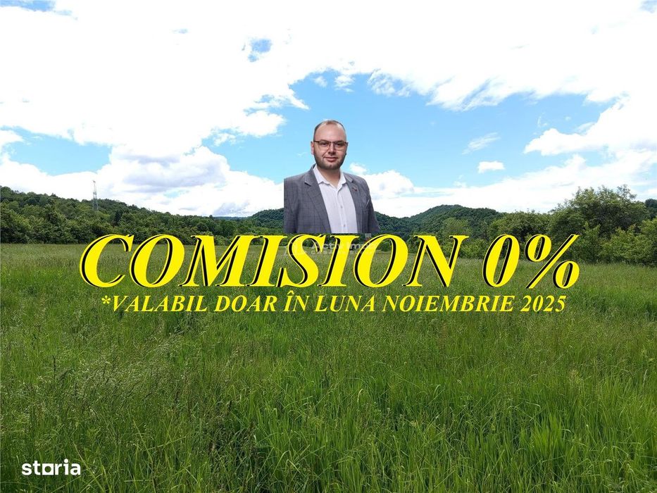 Borlovenii Noi, Teren Drept, 16000mp, la Limita Localitatii