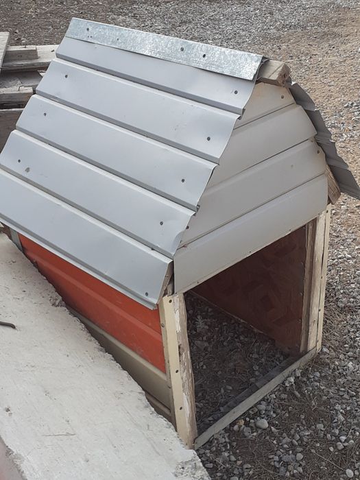 Иттің ұялы.үлкен