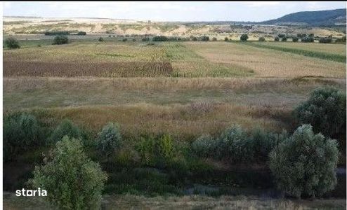 Teren Extravilan Banca, ID: R2805492