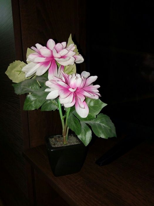 Floare ornamentala