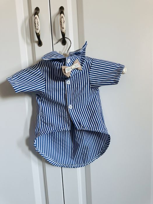 Haina pentru caine de talie mica si  medie, camasa cu fundita / papion