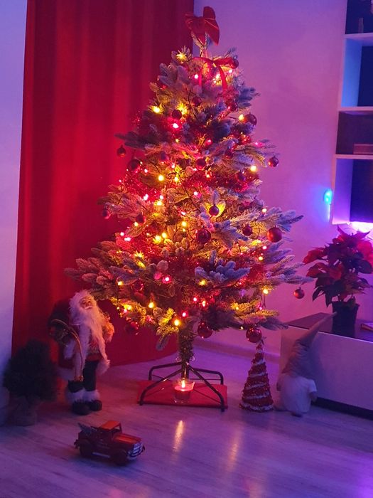 Brad dimensiune medie