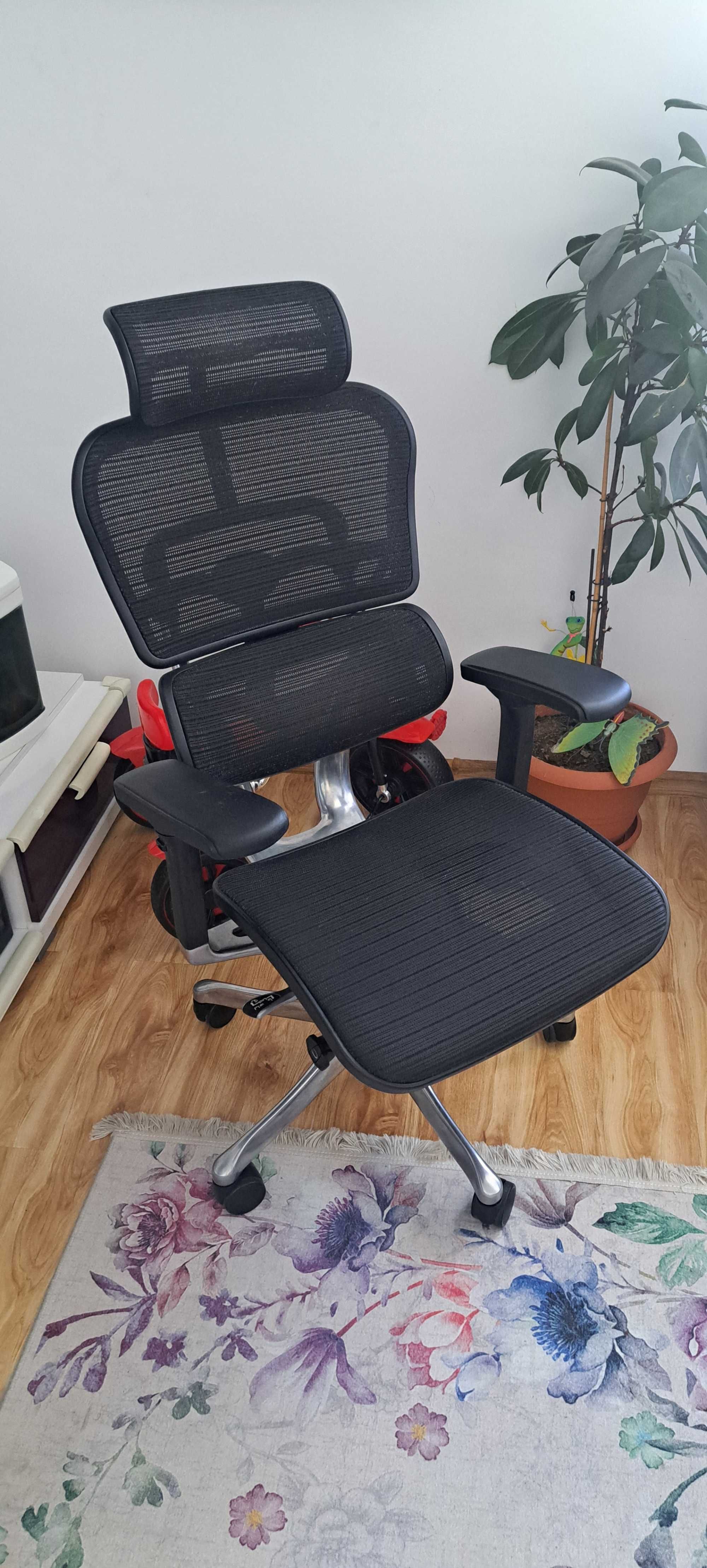 Scaun ergonomic Ergohuman