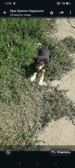 Мальчик ищет дом