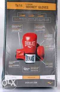 Manusi box pentru antrenament 16 oz RODNEY Everlast