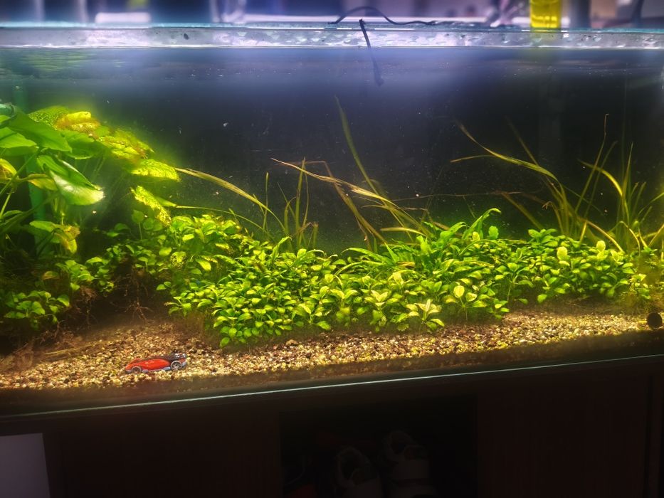 Acvariu 160 litri