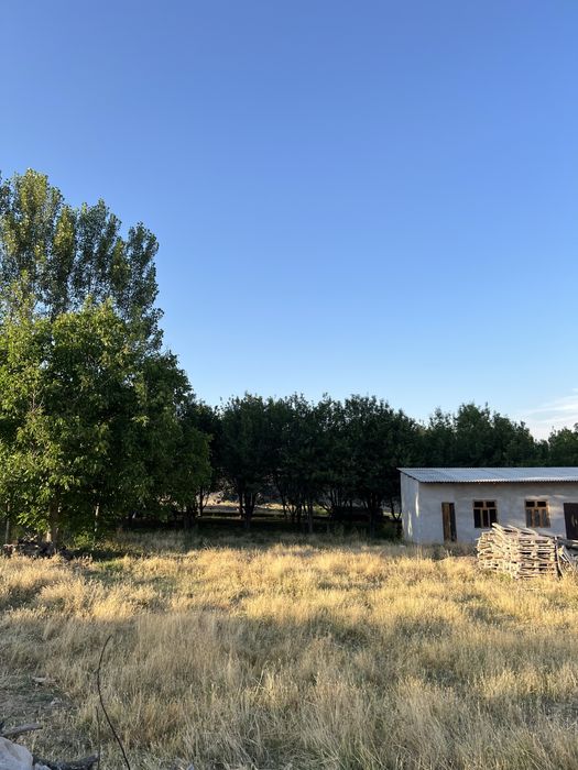 Nurashon shahar Yer sotilad