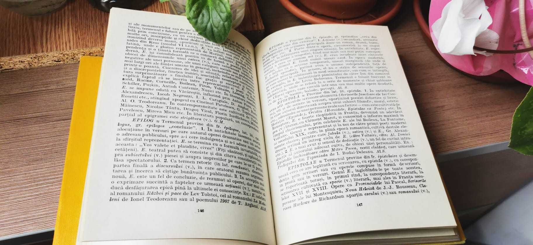 DEX,1984 si Dictionar de termeni literari, Alexandru Stefanescu