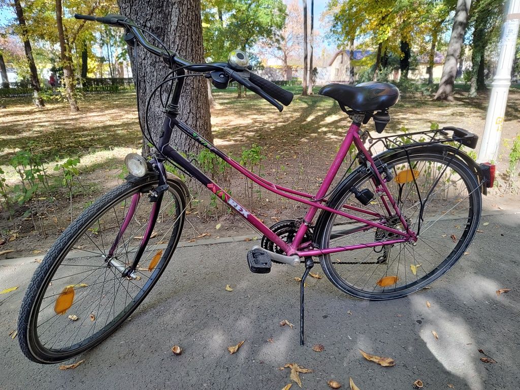 Bicicleta clasica olandeza