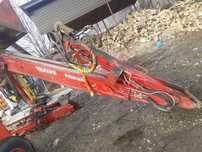 Graifer forestier