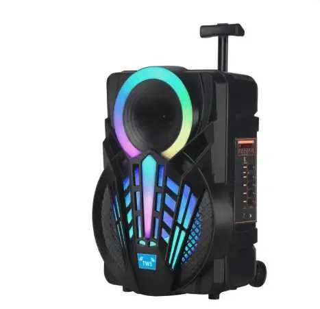 Караоке Тонколона NDR-P08 с Bluetooth , микрофон и Цветомузика