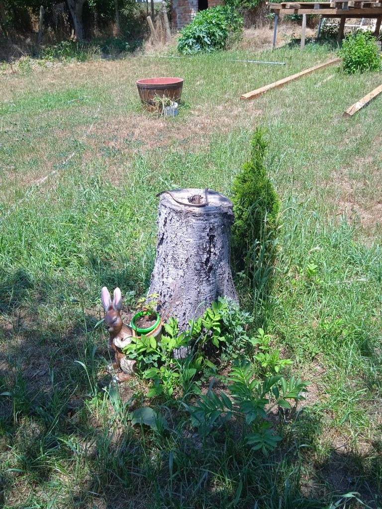 Продава се Къща в с. Горица, Област Бургас - 150 кв.м за 500 €/кв.м - Снимка #9