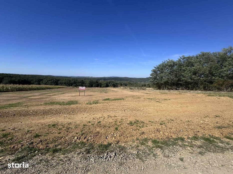 Teren intravilan 15 ari Str Dunarii front 24ml