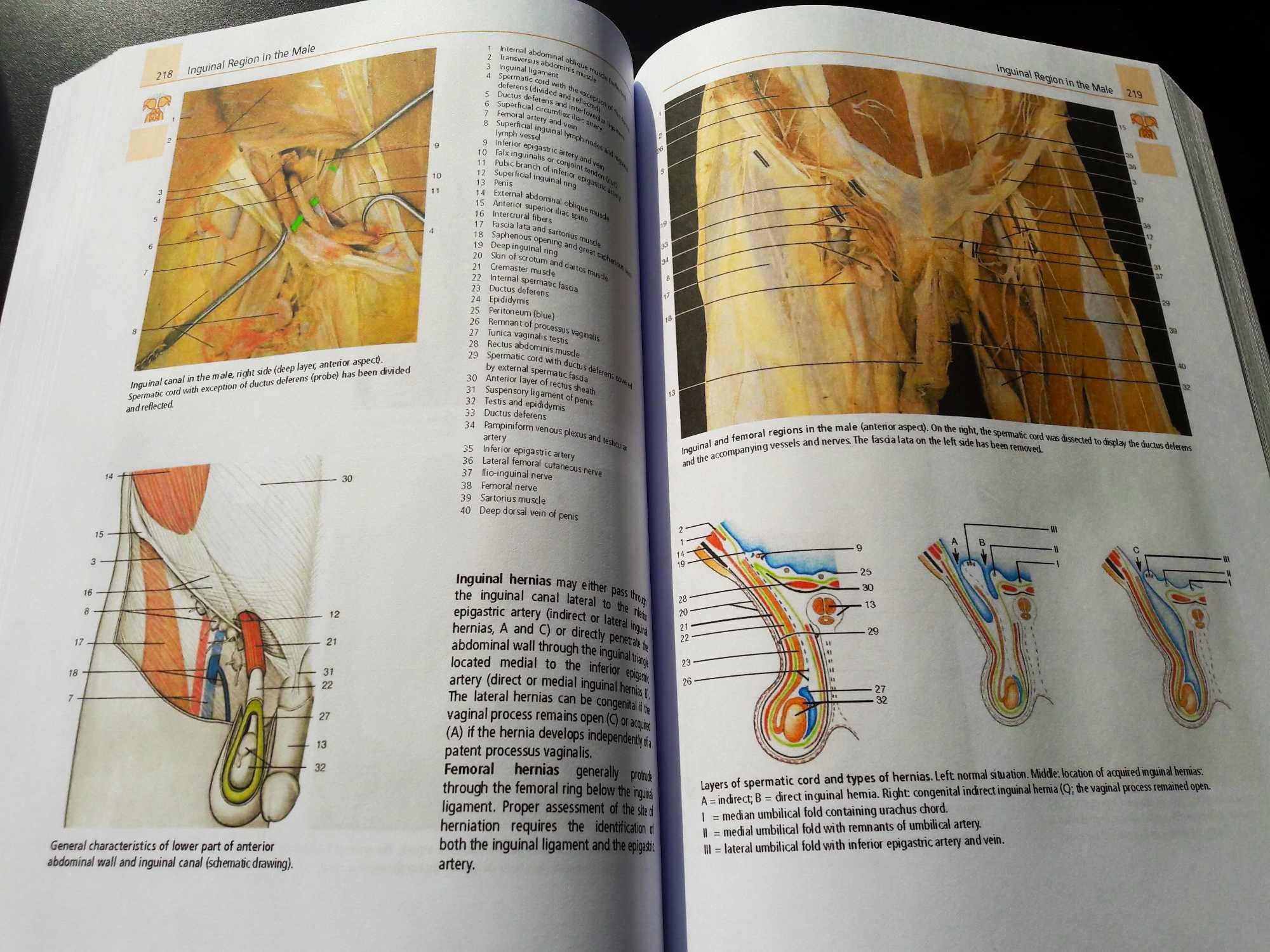 A Photographic Atlas - anatomie (disectie) Rohen, Yokochi, ed.8