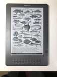Электронная книга Amazon Kindle DX Graphite, большой экран