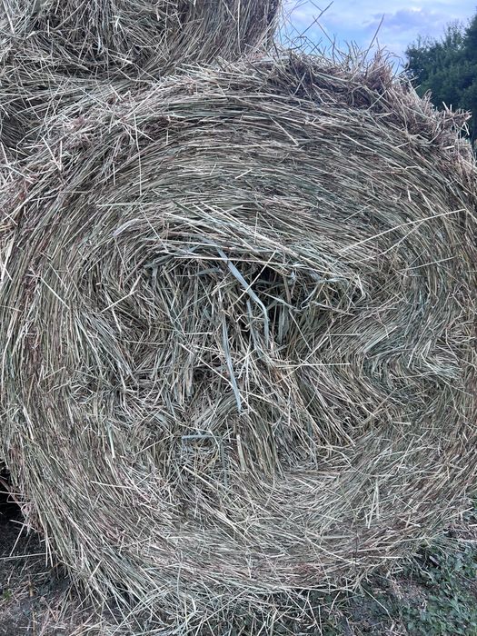 Vând baloți de iarbă mixtă