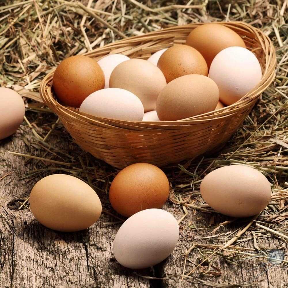Домашние куриные свежие яйца!