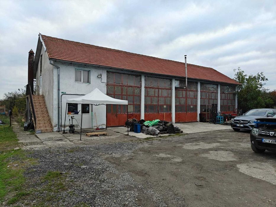 Hală pentru activități diverse/teren 5000 m²