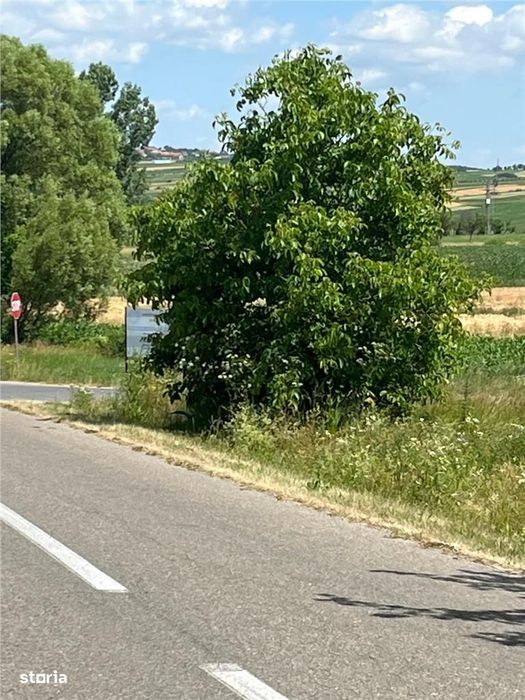 RECO Teren intravilan pentru casa 776 mp , Les, PUZ aprobat