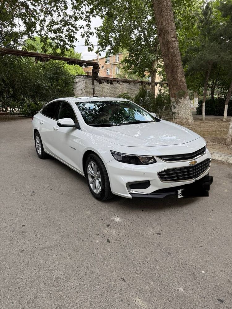 Malibu 2018 oq.