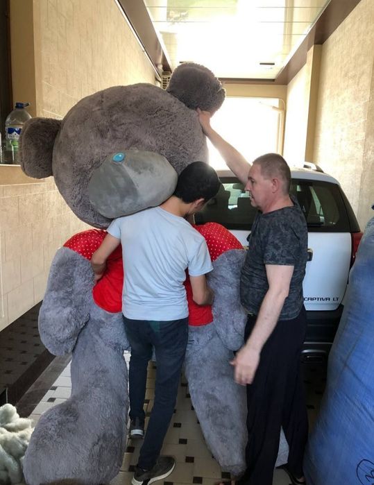 Teddy teddi original xitoy