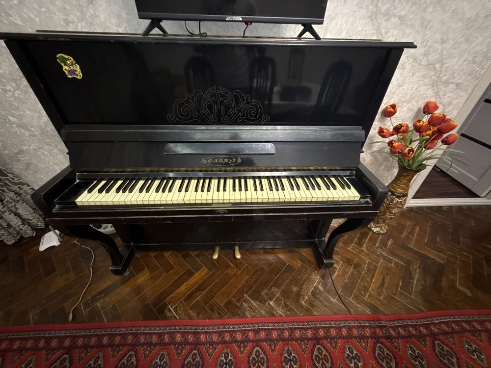 Пионино Беларусь