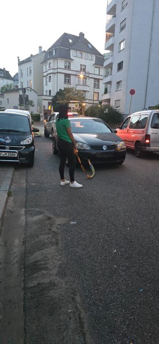 Vând 2 golfuri 5,pachet gti bkd, celălalt benzinar 1.4