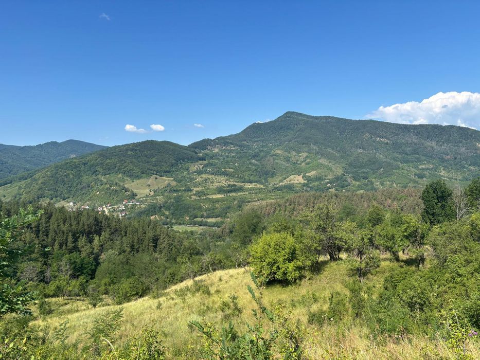 Teren extravilan de vânzare in loc. Nehoiu